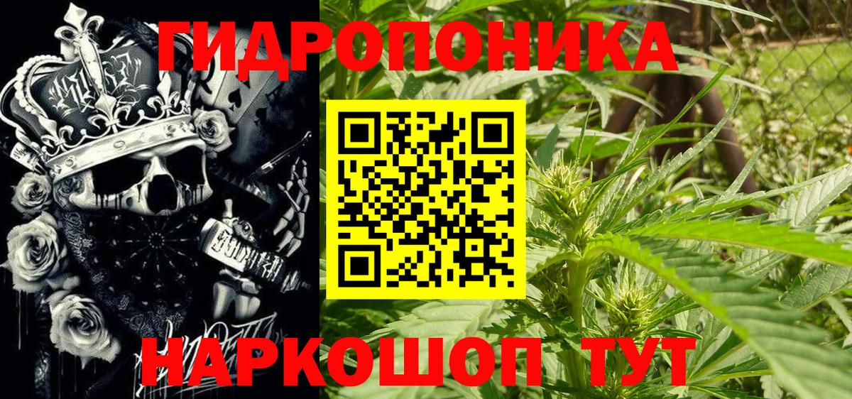 Каннабис марихуана  Канабис LSD WEED  Вход с VPN  Сыктывкар  Канабис тримм 